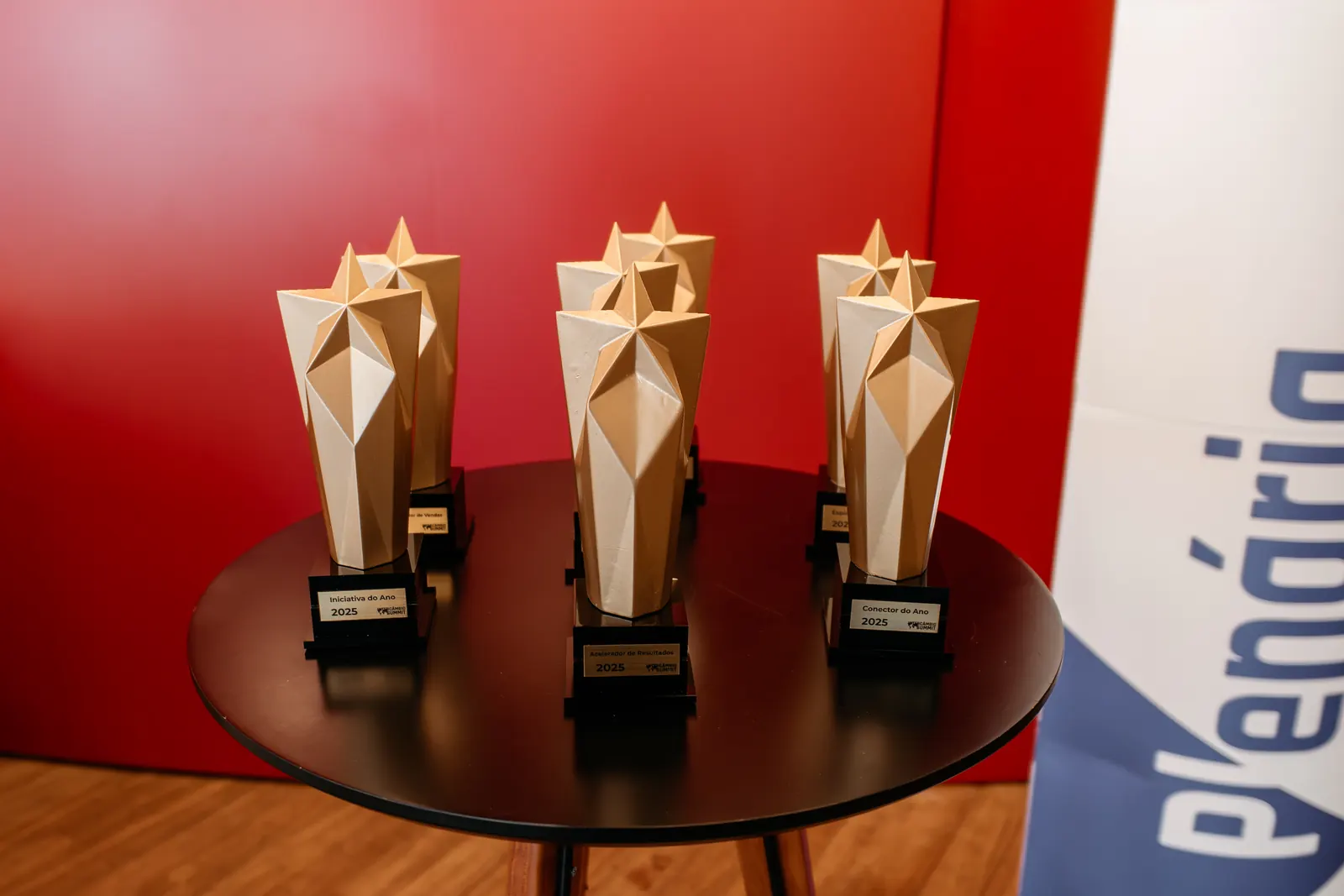 Troféus do Prêmio Melhores Profissionais sobre a mesa